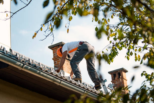 Best Roof Gutter Cleaning  in Summerville, SC