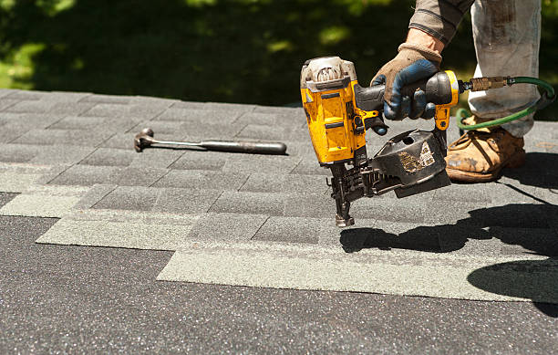 Best Roof Gutter Cleaning  in Summerville, SC
